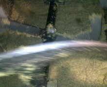 raccolta olive 2011 (7)
